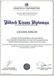 yuksek lisans diploma ornegi.JPG yuksek lisans diploma ornegi.JPG